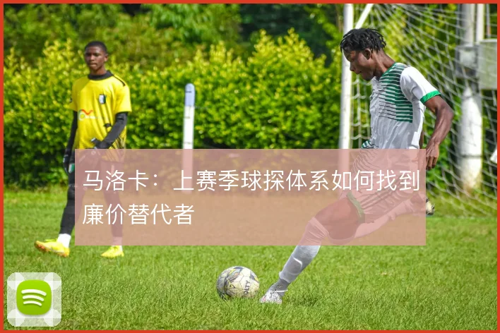 马洛卡：上赛季球探体系如何找到廉价替代者